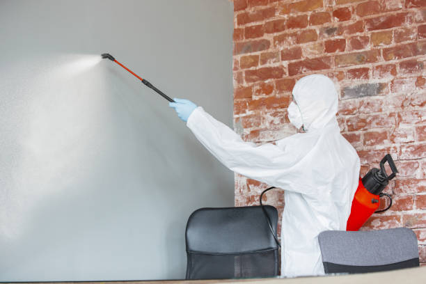 Environmental Consulting for Mold Prevention in Farmville, NC