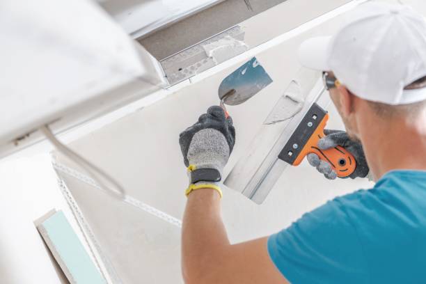 Best Mold Removal for HVAC Installations  in Farmville, NC